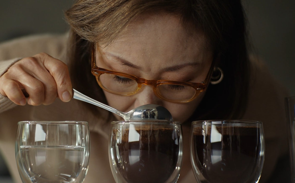 Q Grader cupping for Kloo